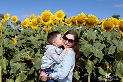 ensaio familia lugar dos sonhos brasilia fotografa fotografo fotógrafa brasília df distrito federal df distrito federal book melhor leticia franco letícia lua nova art arte foto girassois pad df paddf'