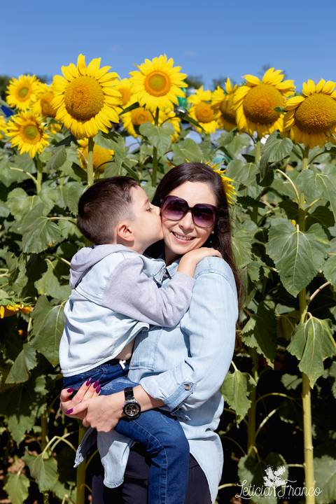 ensaio familia lugar dos sonhos brasilia fotografa fotografo fotógrafa brasília df distrito federal df distrito federal book melhor leticia franco letícia lua nova art arte foto girassois pad df paddf'