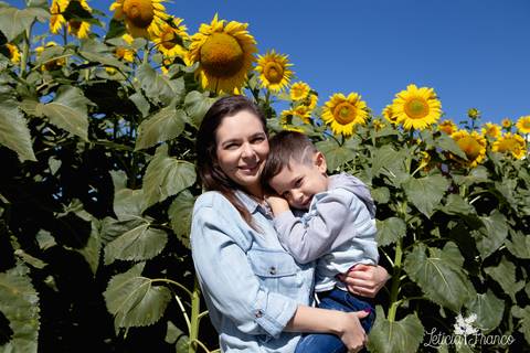 ensaio familia lugar dos sonhos brasilia fotografa fotografo fotógrafa brasília df distrito federal df distrito federal book melhor leticia franco letícia lua nova art arte foto girassois pad df paddf'