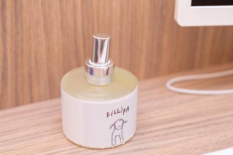 Fillipa infancia inauguração lago sul brasilia df'