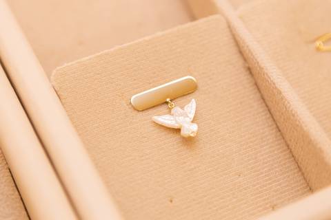 Fillipa infancia inauguração lago sul brasilia df'