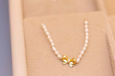 Fillipa infancia inauguração lago sul brasilia df'