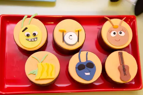 festa infantil 5 anos galinha pintadinha banda naftalinas cole guara df brasilia decoração fotografia infantil'