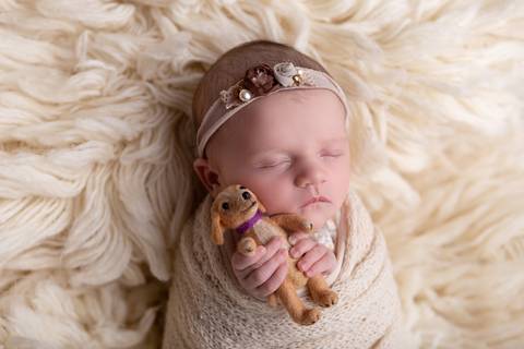 bebê recém nascido newborn brasilia fotografa fotografo fotógrafa brasília df distrito federal baby bebe reborn book melhor leticia franco letícia wrap enrolado 
clexane trombofilia bebe arco iris'