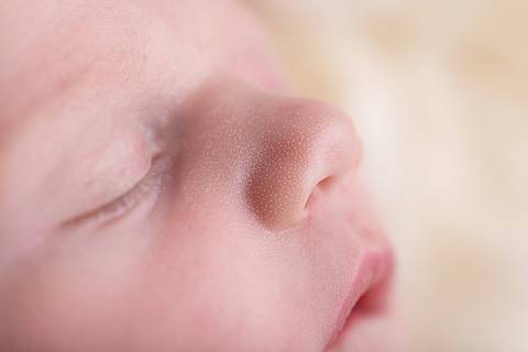 bebê recém nascido newborn brasilia fotografa fotografo fotógrafa brasília df distrito federal baby bebe reborn book melhor leticia franco letícia wrap enrolado 
clexane trombofilia bebe arco iris'