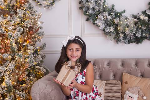 ensaio de natal bebê touca de papai noel brasilia df registrado pela fotógrafa letícia franco casa do papai noel sala arvore guirlanda roupa de papai noel'