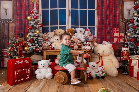 ensaio de natal bebê touca de papai noel brasilia df registrado pela fotógrafa letícia franco casa do papai noel sala arvore guirlanda roupa de papai noel'