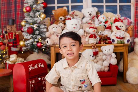 ensaio de natal bebê touca de papai noel brasilia df registrado pela fotógrafa letícia franco casa do papai noel sala arvore guirlanda roupa de papai noel
'