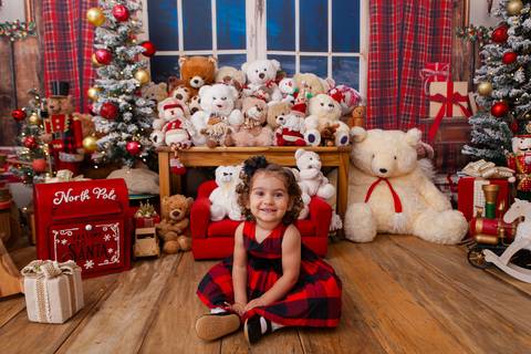 ensaio de natal bebê touca de papai noel brasilia df registrado pela fotógrafa letícia franco casa do papai noel sala arvore guirlanda roupa de papai noel

'