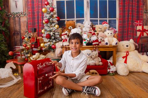 ensaio de natal bebê touca de papai noel brasilia df registrado pela fotógrafa letícia franco casa do papai noel sala arvore guirlanda roupa de papai noel
'