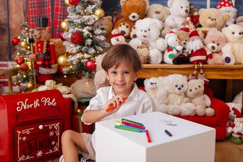 ensaio de natal bebê touca de papai noel brasilia df registrado pela fotógrafa letícia franco casa do papai noel sala arvore guirlanda roupa de papai noel
'