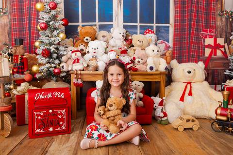 ensaio de natal bebê touca de papai noel brasilia df registrado pela fotógrafa letícia franco casa do papai noel sala arvore guirlanda roupa de papai noel
'