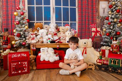 ensaio de natal bebê touca de papai noel brasilia df registrado pela fotógrafa letícia franco casa do papai noel sala arvore guirlanda roupa de papai noel
'