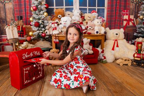 ensaio de natal bebê touca de papai noel brasilia df registrado pela fotógrafa letícia franco casa do papai noel sala arvore guirlanda roupa de papai noel
'