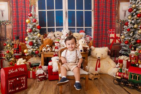 ensaio de natal bebê touca de papai noel brasilia df registrado pela fotógrafa letícia franco casa do papai noel sala arvore guirlanda roupa de papai noel
'