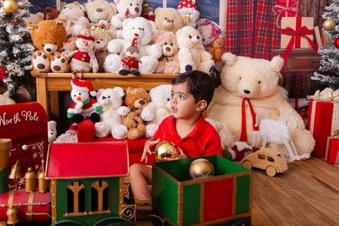 ensaio de natal bebê touca de papai noel brasilia df registrado pela fotógrafa letícia franco casa do papai noel sala arvore guirlanda roupa de papai noel
'