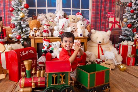 ensaio de natal bebê touca de papai noel brasilia df registrado pela fotógrafa letícia franco casa do papai noel sala arvore guirlanda roupa de papai noel
'