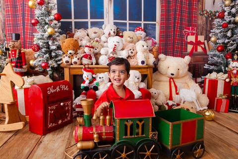 ensaio de natal bebê touca de papai noel brasilia df registrado pela fotógrafa letícia franco casa do papai noel sala arvore guirlanda roupa de papai noel
'