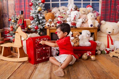 ensaio de natal bebê touca de papai noel brasilia df registrado pela fotógrafa letícia franco casa do papai noel sala arvore guirlanda roupa de papai noel
'