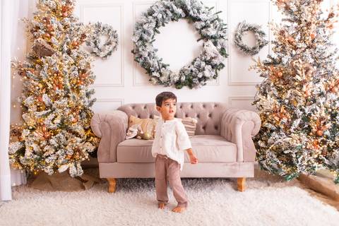 ensaio de natal bebê touca de papai noel brasilia df registrado pela fotógrafa letícia franco casa do papai noel sala arvore guirlanda roupa de papai noel
'