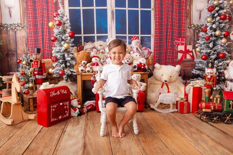 ensaio de natal bebê touca de papai noel brasilia df registrado pela fotógrafa letícia franco casa do papai noel sala arvore guirlanda roupa de papai noel
'