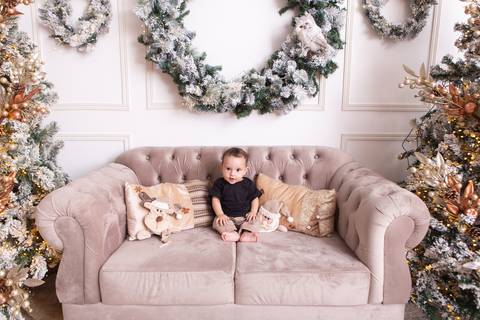 ensaio de natal bebê touca de papai noel brasilia df registrado pela fotógrafa letícia franco casa do papai noel sala arvore guirlanda roupa de papai noel
'