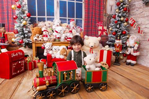 ensaio de natal bebê touca de papai noel brasilia df registrado pela fotógrafa letícia franco casa do papai noel sala arvore guirlanda roupa de papai noel
'