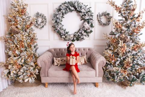 ensaio de natal bebê touca de papai noel brasilia df registrado pela fotógrafa letícia franco casa do papai noel sala arvore guirlanda roupa de papai noel
'