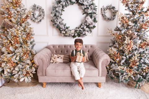 ensaio de natal bebê touca de papai noel brasilia df registrado pela fotógrafa letícia franco casa do papai noel sala arvore guirlanda roupa de papai noel
'