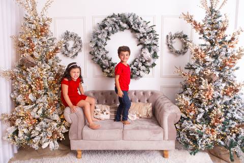 ensaio de natal bebê touca de papai noel brasilia df registrado pela fotógrafa letícia franco casa do papai noel sala arvore guirlanda roupa de papai noel
'