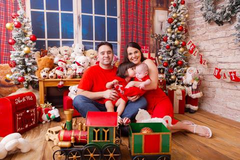 ensaio de natal bebê touca de papai noel brasilia df registrado pela fotógrafa letícia franco casa do papai noel sala arvore guirlanda roupa de papai noel
'