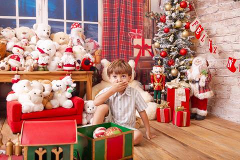 ensaio de natal bebê touca de papai noel brasilia df registrado pela fotógrafa letícia franco casa do papai noel sala arvore guirlanda roupa de papai noel
'