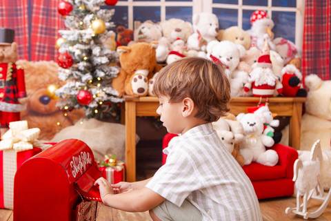 ensaio de natal bebê touca de papai noel brasilia df registrado pela fotógrafa letícia franco casa do papai noel sala arvore guirlanda roupa de papai noel
'