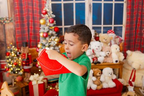 ensaio de natal bebê touca de papai noel brasilia df registrado pela fotógrafa letícia franco casa do papai noel sala arvore guirlanda roupa de papai noel
'