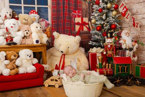 ensaio de natal bebê touca de papai noel brasilia df registrado pela fotógrafa letícia franco casa do papai noel sala arvore guirlanda roupa de papai noel
'