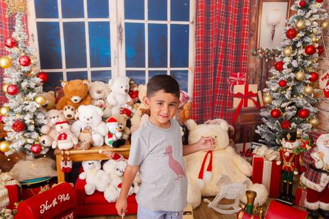 ensaio de natal bebê touca de papai noel brasilia df registrado pela fotógrafa letícia franco casa do papai noel sala arvore guirlanda roupa de papai noel
'