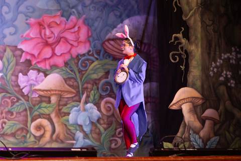 Paula nobrega bailarinas fotografadas pela fotografa Letícia Franco no teatro royal tulip em Brasília DF espetáculo alice no pais das maravilhas ballet bale'