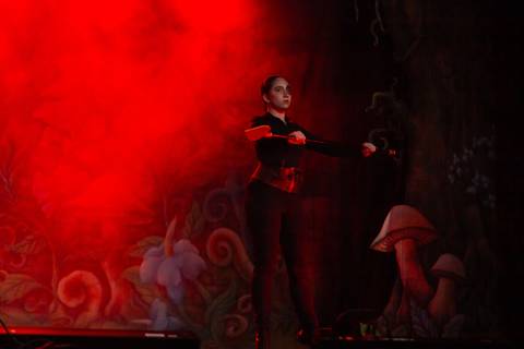 Paula nobrega bailarinas fotografadas pela fotografa Letícia Franco no teatro royal tulip em Brasília DF espetáculo alice no pais das maravilhas ballet bale'