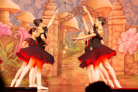 Paula nobrega bailarinas fotografadas pela fotografa Letícia Franco no teatro royal tulip em Brasília DF espetáculo alice no pais das maravilhas ballet bale'
