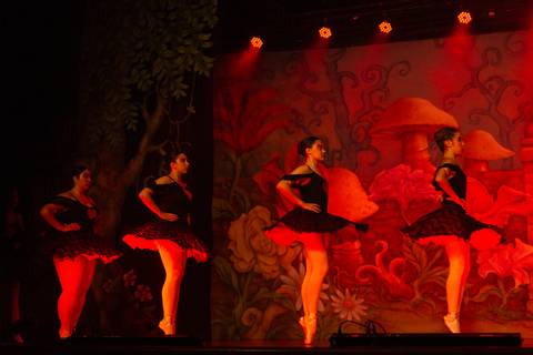 Paula nobrega bailarinas fotografadas pela fotografa Letícia Franco no teatro royal tulip em Brasília DF espetáculo alice no pais das maravilhas ballet bale'