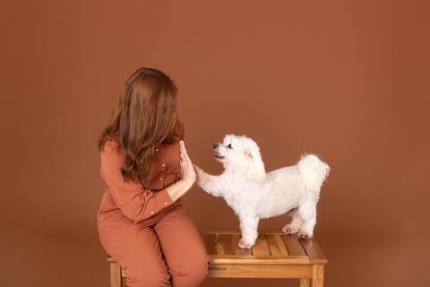 ensaio pet em brasília leticia franco fotografia mia gata gato foto do rosto poodle'