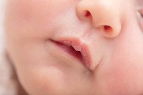 bebê recém nascido newborn brasilia fotografa fotografo fotógrafa brasília df distrito federal baby bebe reborn book melhor leticia franco letícia lifestyle'