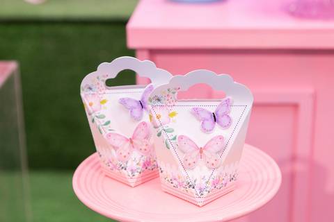 festa infantil 01 ano decoração brasilia df distrito federal book fotografo fotógrafa fotografa fotografia melhor leticia franco letícia jardim das borboletas art show kids vicente pires brasilia'