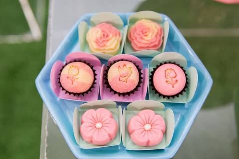 festa infantil 01 ano decoração brasilia df distrito federal book fotografo fotógrafa fotografa fotografia melhor leticia franco letícia jardim das borboletas art show kids vicente pires brasilia'