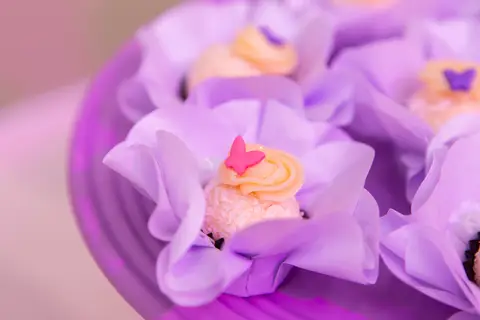 festa infantil 01 ano decoração brasilia df distrito federal book fotografo fotógrafa fotografa fotografia melhor leticia franco letícia jardim das borboletas art show kids vicente pires brasilia'