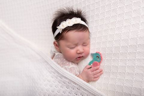 bebê recém nascido newborn brasilia fotografa fotografo fotógrafa brasília df distrito federal baby bebe reborn book melhor leticia franco letícia lifestyle
'