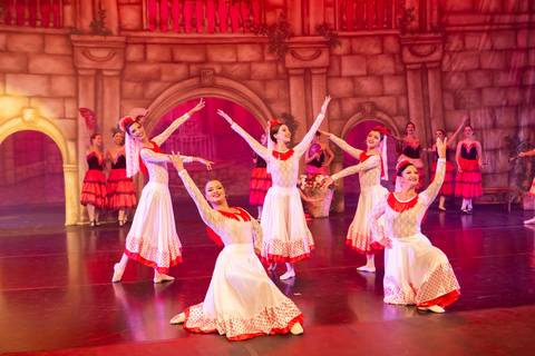 Paula nobrega centro de dança do df bailarinas fotografadas pela fotografa Letícia Franco no teatro plinio marcos em Brasília DF espetáculo dom quixote ballet bale'