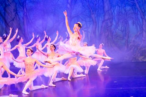 Paula nobrega centro de dança do df bailarinas fotografadas pela fotografa Letícia Franco no teatro plinio marcos em Brasília DF espetáculo dom quixote ballet bale'