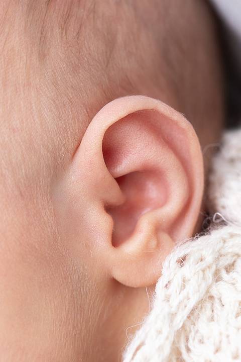 bebê recém nascido newborn brasilia fotografa fotografo fotógrafa brasília df distrito federal baby bebe reborn book melhor leticia franco letícia lifestyle
'