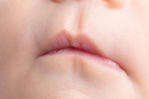 bebê recém nascido newborn brasilia fotografa fotografo fotógrafa brasília df distrito federal baby bebe reborn book melhor leticia franco letícia lifestyle
'